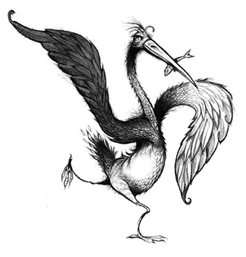 Bird Sketch